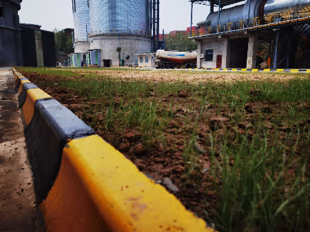 1596438561954229.jpg 圖1_副本.jpg