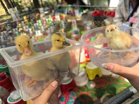 微信圖片_20250410102331