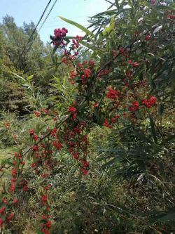 微信圖片_20251020161351 微信圖片_20251020161351