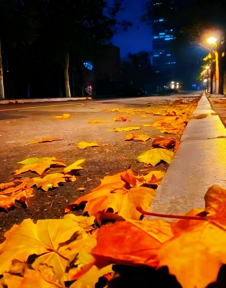 6581b3a7caa441eb6cc876c81d079fd0 6581b3a7caa441eb6cc876c81d079fd0